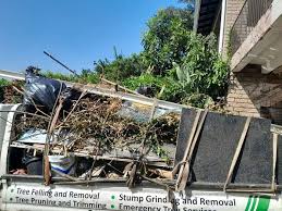 Best Carpet Removal and Disposal  in Toulon, IL